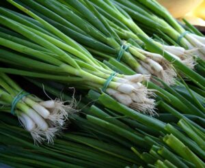Benefits of eating leek